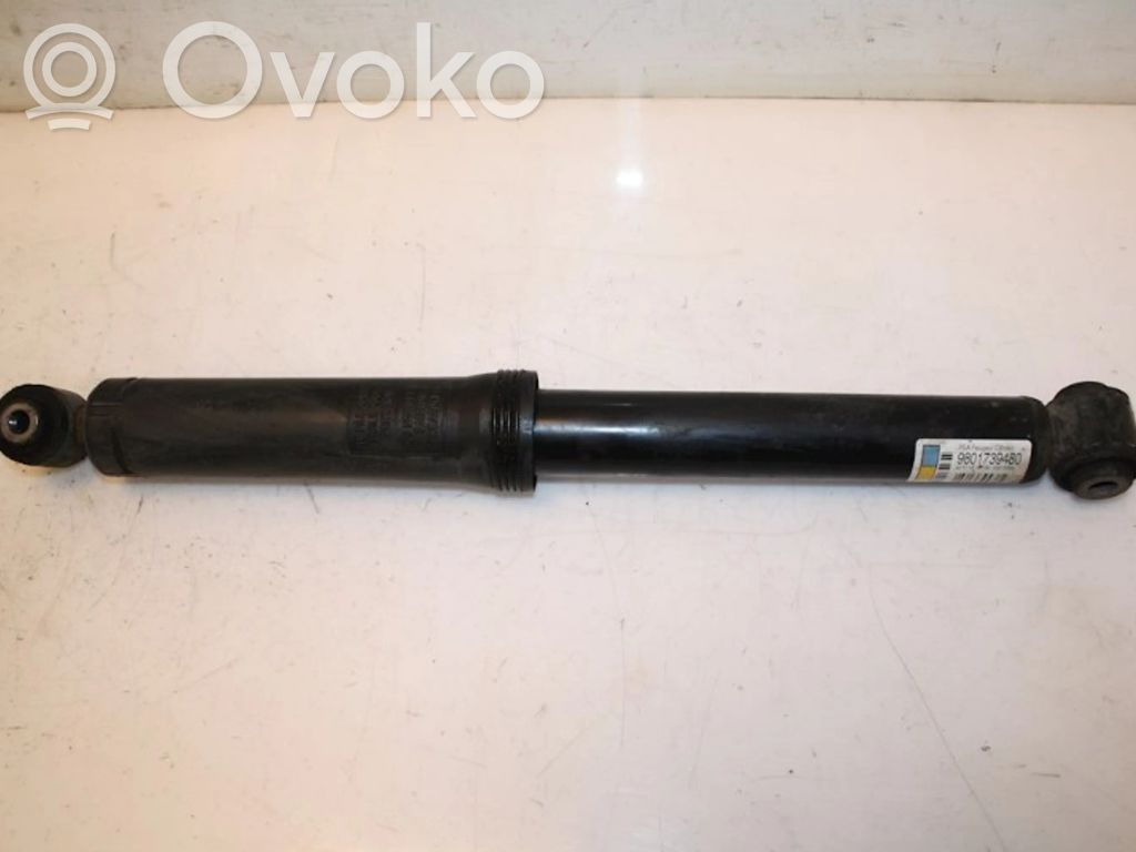Stoßdämpfer hinten   9801739480,9801739480