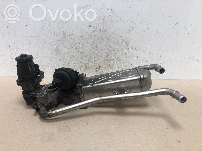 Seat Ibiza IV (6J,6P) EGR-venttiili/lauhdutin 