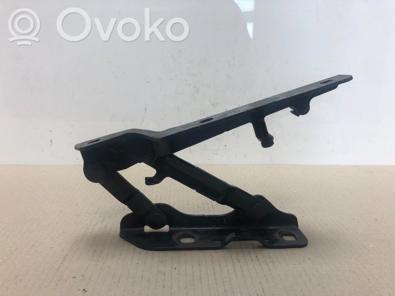 Tesla Model S Cerniere del vano motore/cofano 