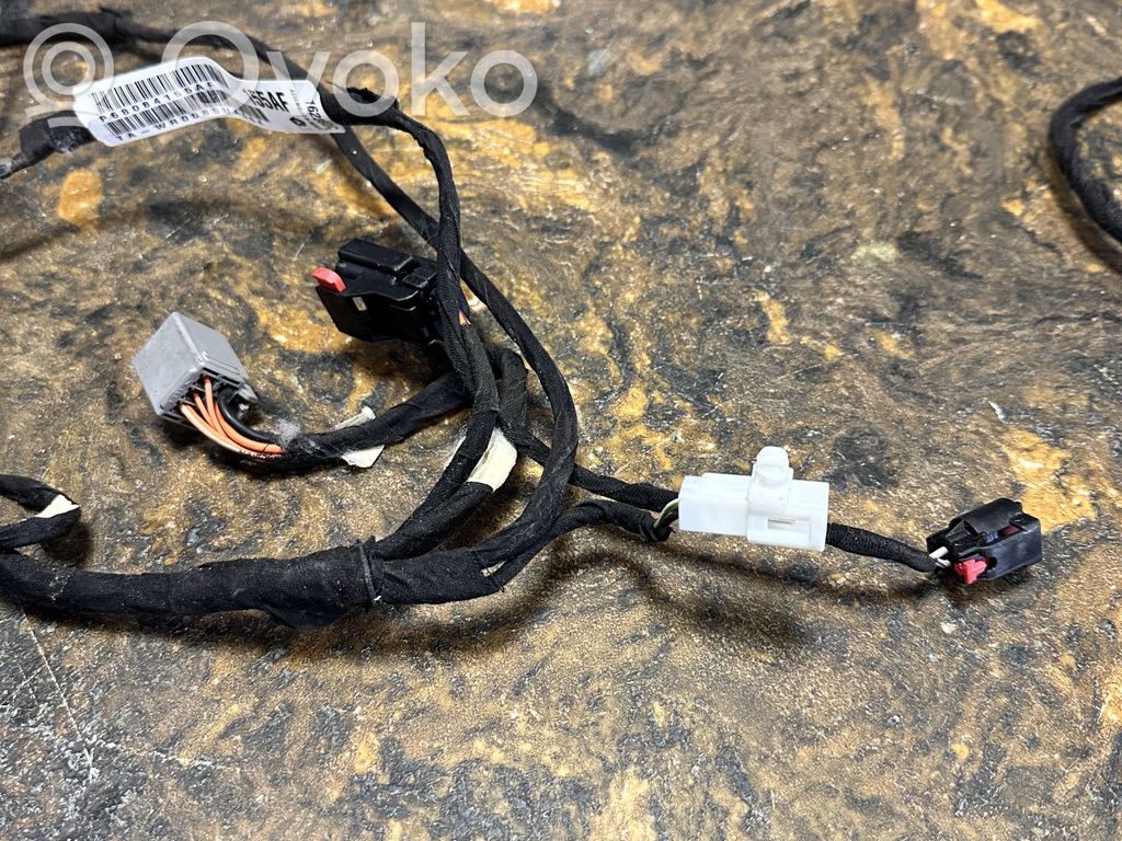 Dodge Charger Cableado de puerta trasera 
