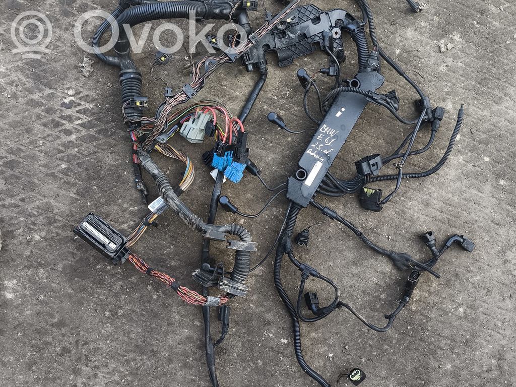 Engine installation wiring loom   755259Z19,779226804,779649102,755257Z79,779028208,779649102,779684501