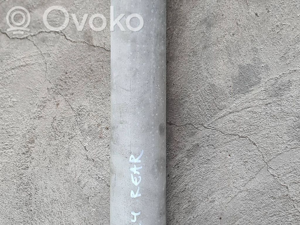 Galinis pusašis   10054299