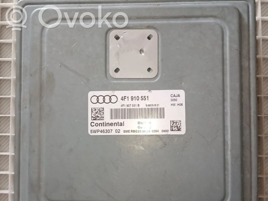 Audi A6 S6 C6 4F Engine control unit/module 
