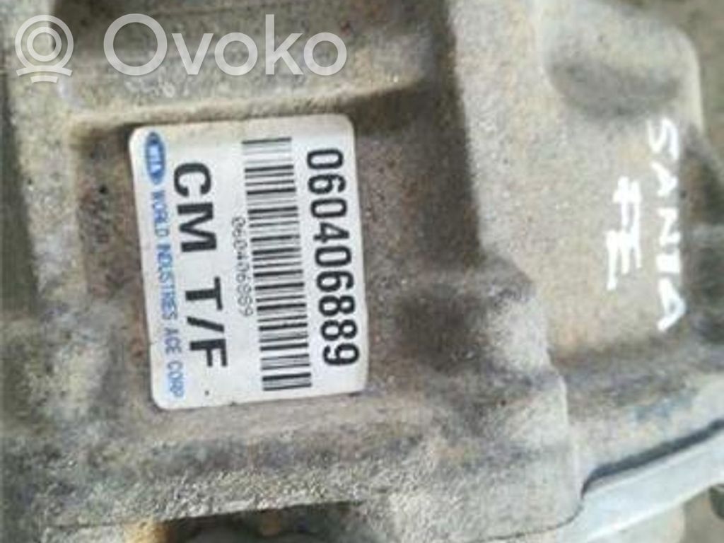 Hyundai Santa Fe Carcasă diferențial 