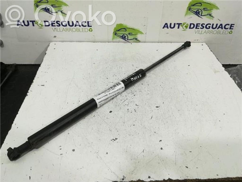Tailgate/trunk strut/damper