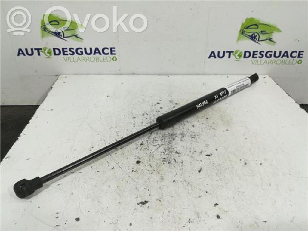 Tailgate/trunk strut/damper