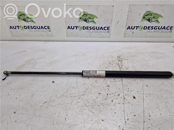 Tailgate/trunk/boot lid buffer