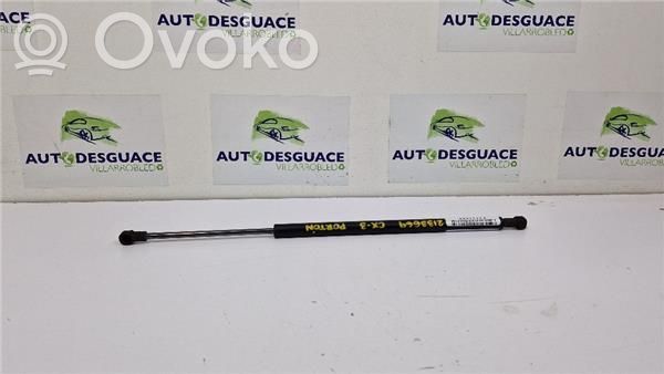 Tailgate/trunk strut/damper