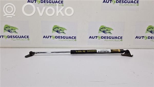 Tailgate/trunk strut/damper