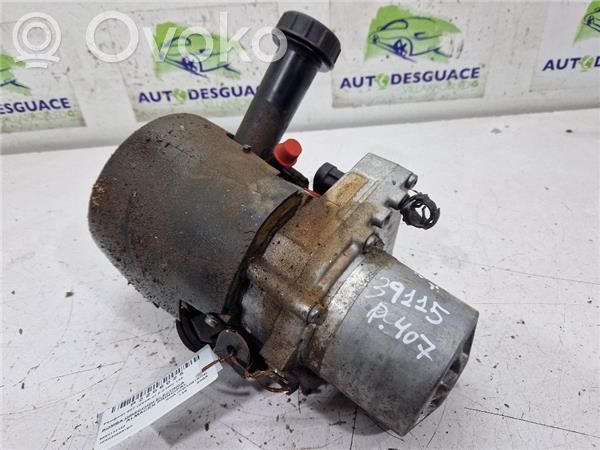 Peugeot 407 Pompa elettrica servosterzo 