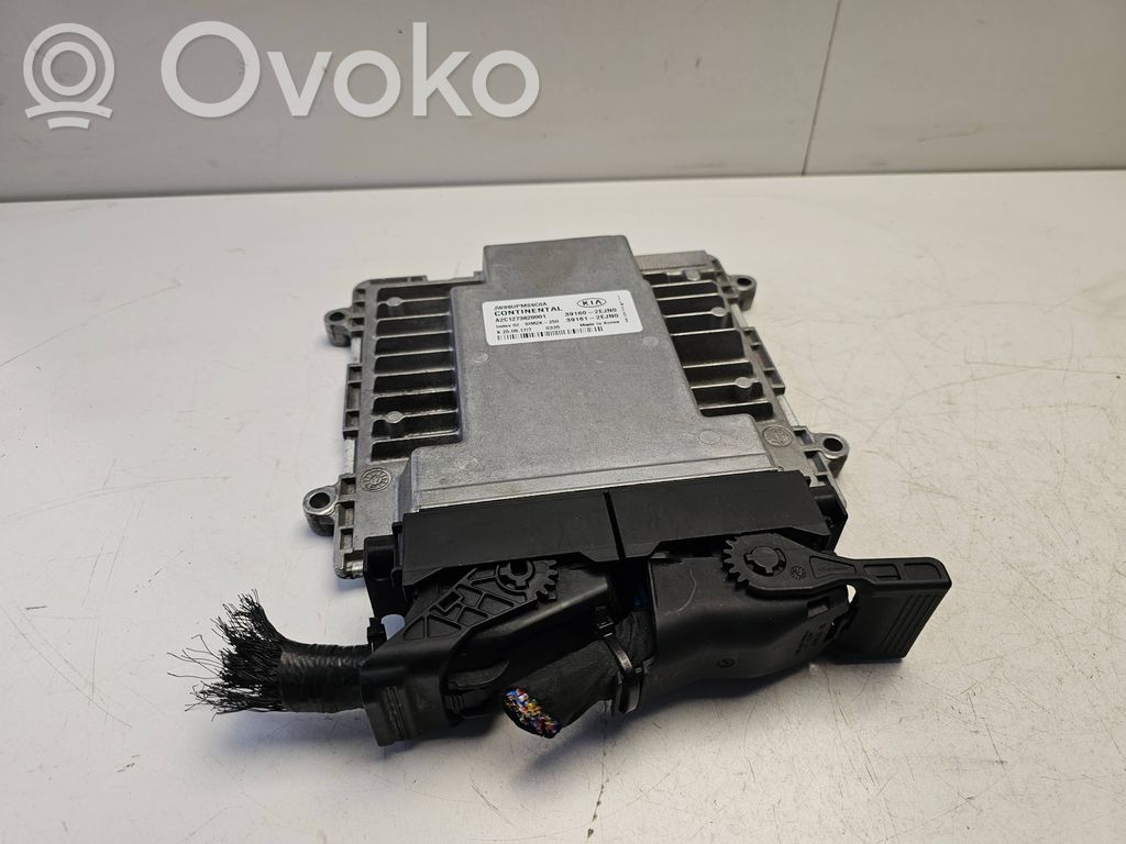 KIA Optima Engine control unit/module 
