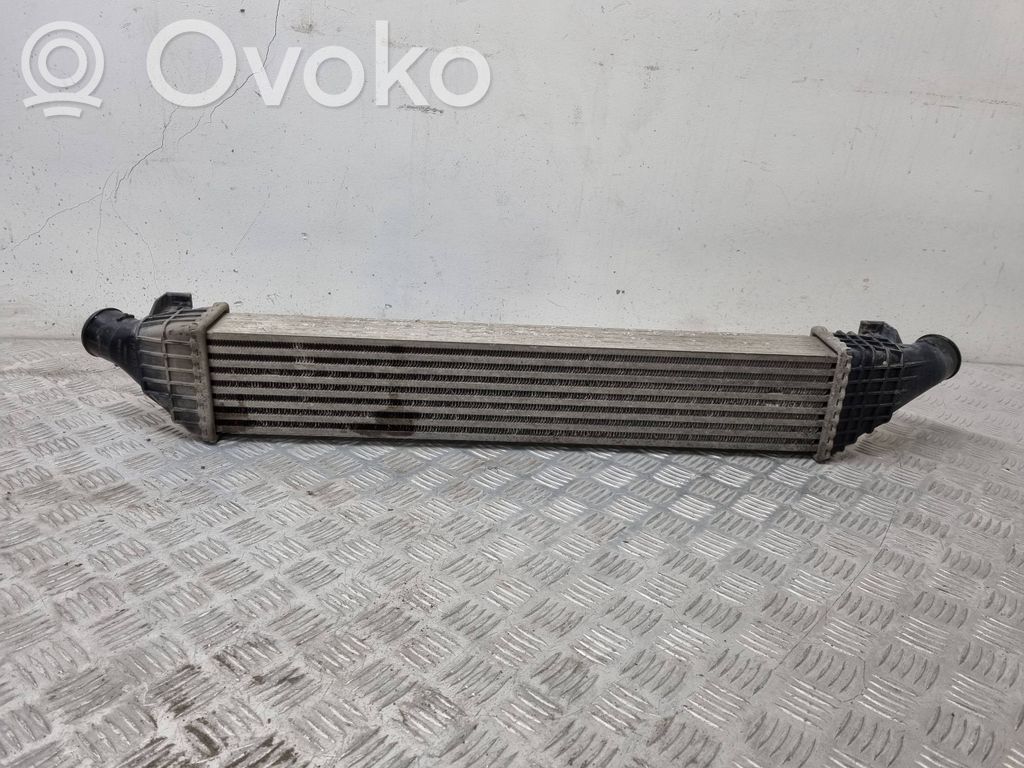 Chłodnica powietrza doładowującego / Intercooler   P5887001