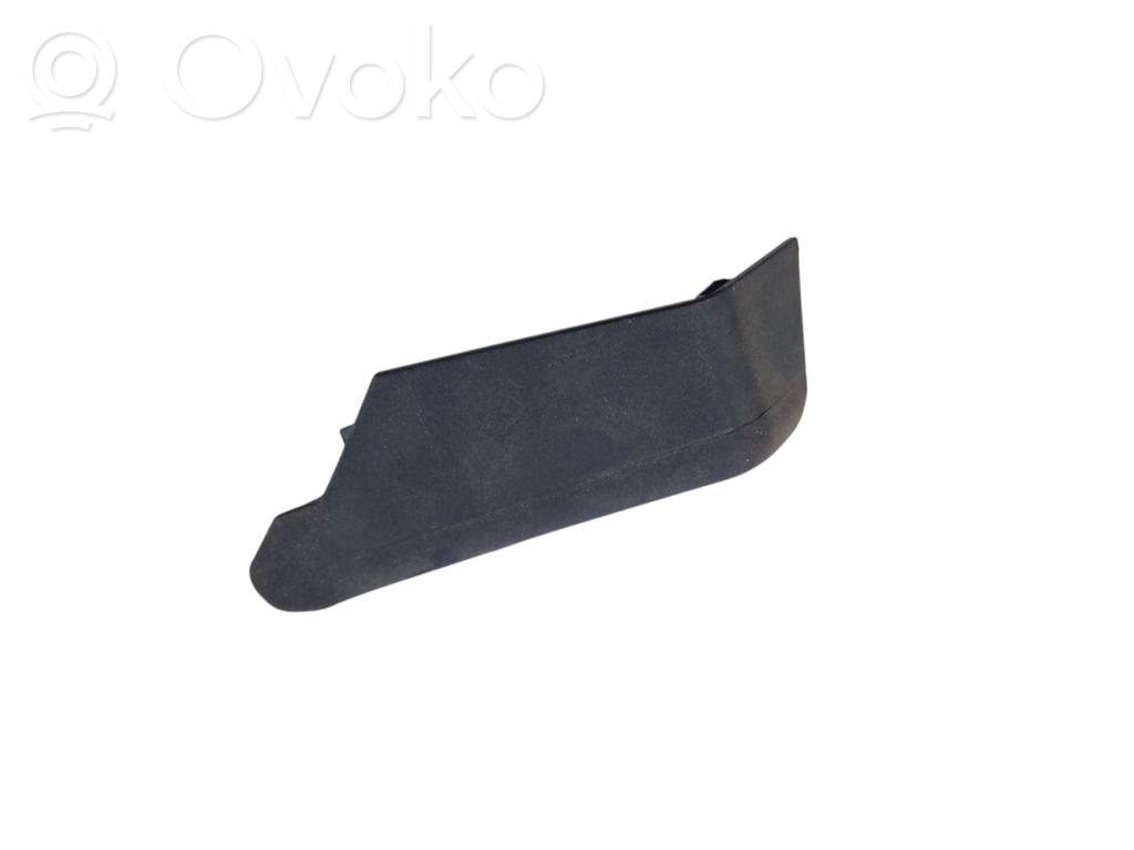 Dodge Challenger Rear/tail light trim molding 