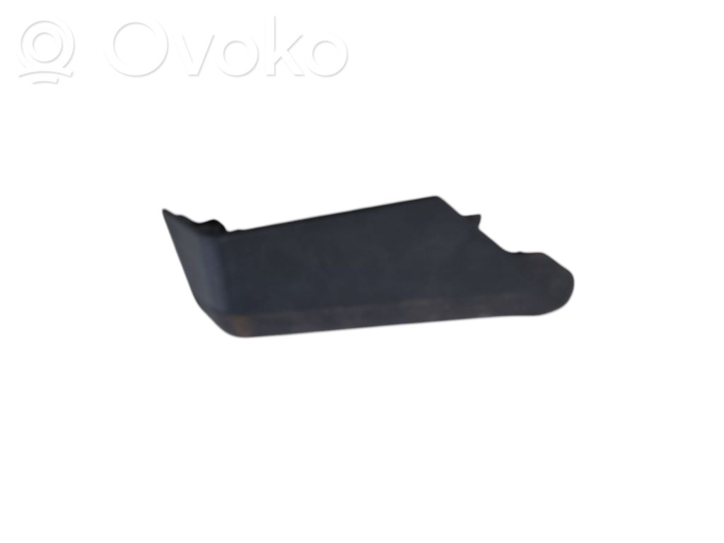 Dodge Challenger Rear/tail light trim molding 