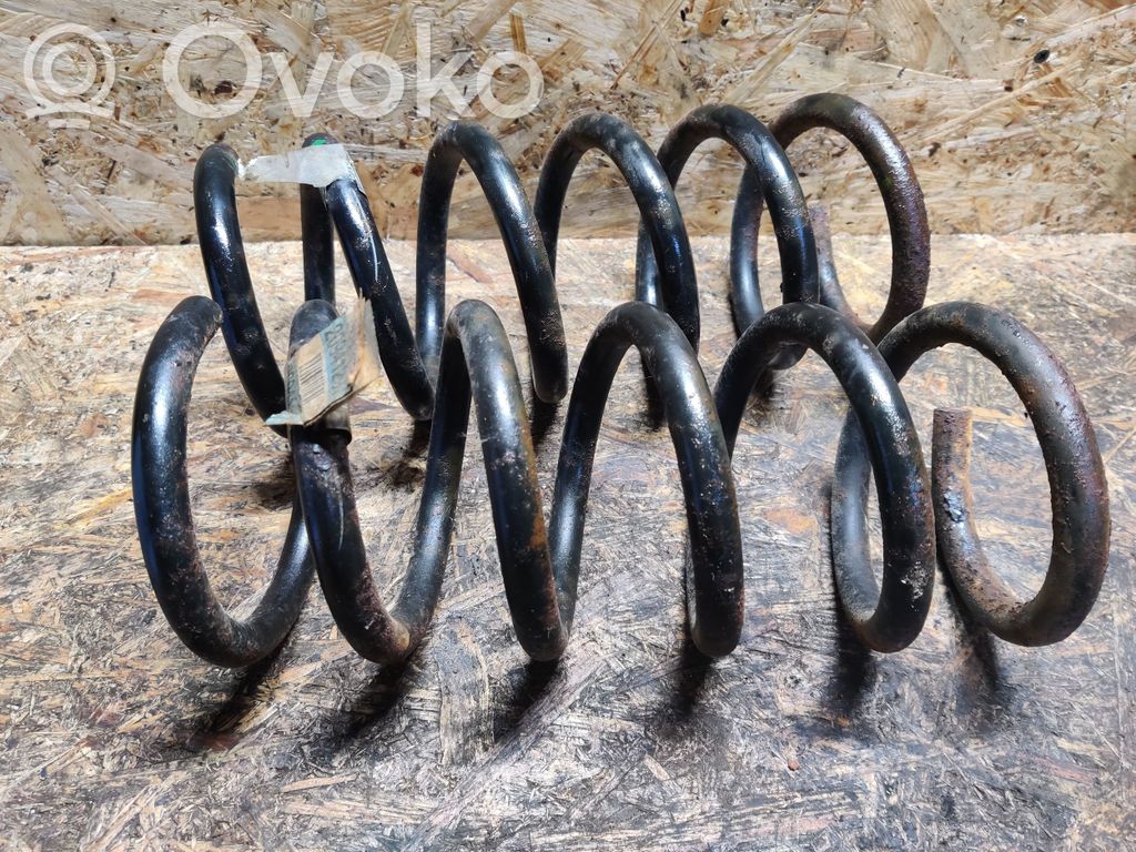 Rear coil spring   20941297