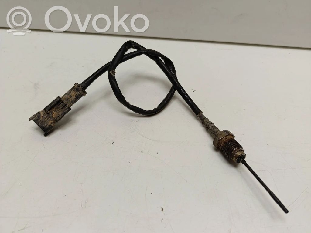 Fiat Ducato Išmetamųjų dujų temperatūros daviklis 