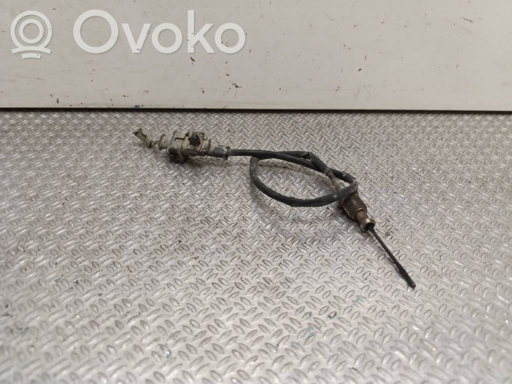 Fiat Ducato Išmetamųjų dujų temperatūros daviklis 