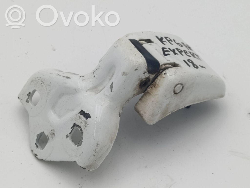 Peugeot Expert Rear door lower hinge 
