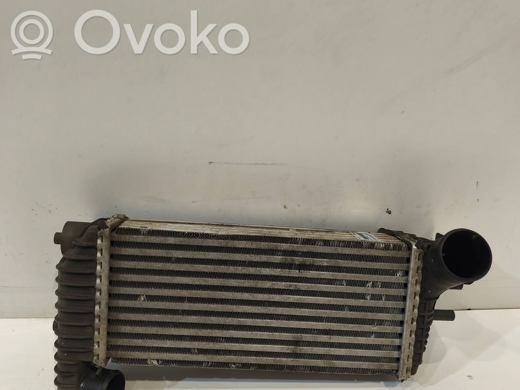 Ford Connect Chłodnica powietrza doładowującego / Intercooler 
