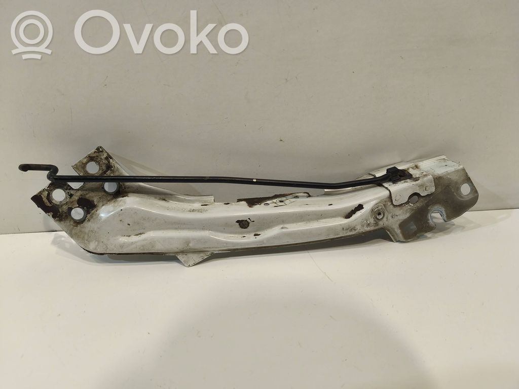 Peugeot Expert Priekšējā luktura turētājs 