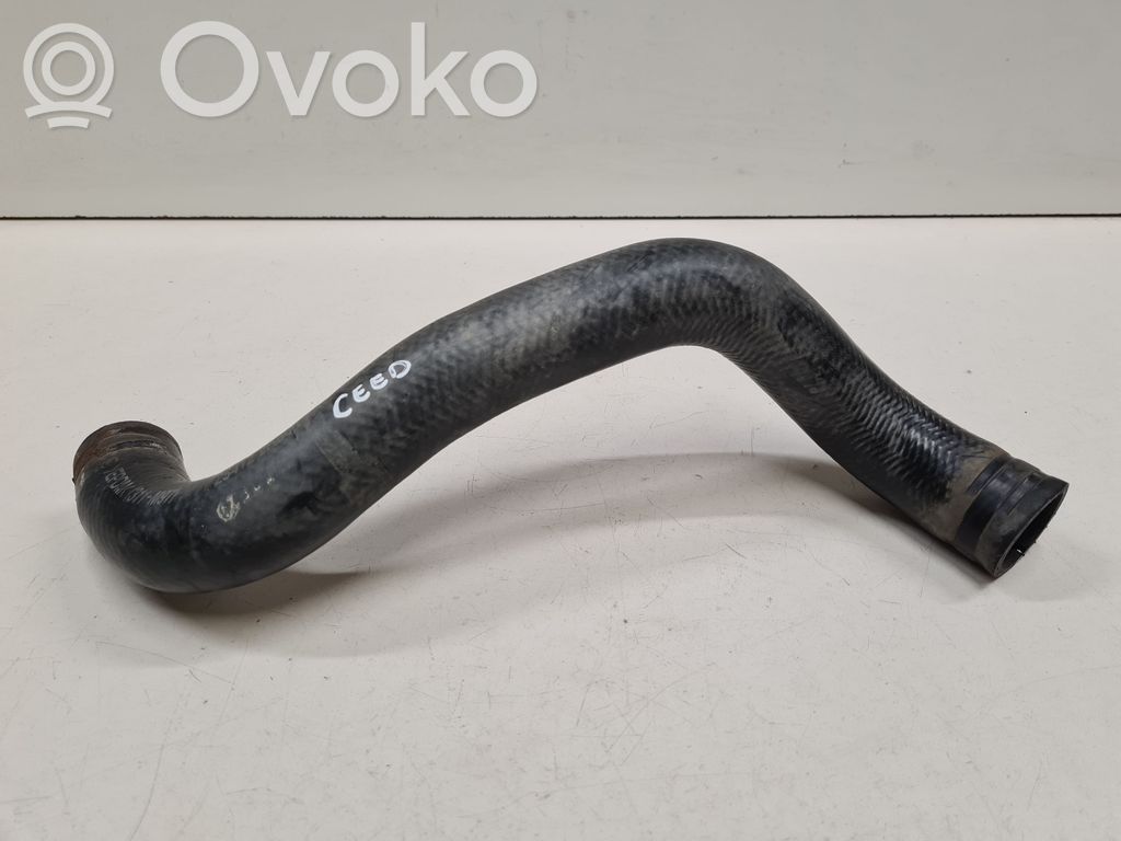 KIA Ceed Engine coolant pipe/hose 