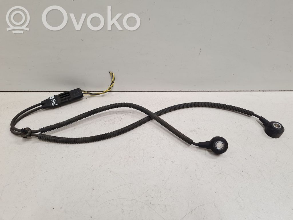 Detonation knock sensor   756678502