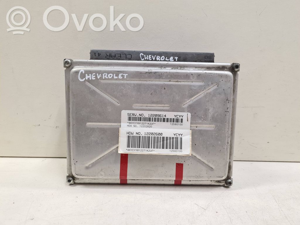 Chevrolet Trans Sport Engine control unit/module 
