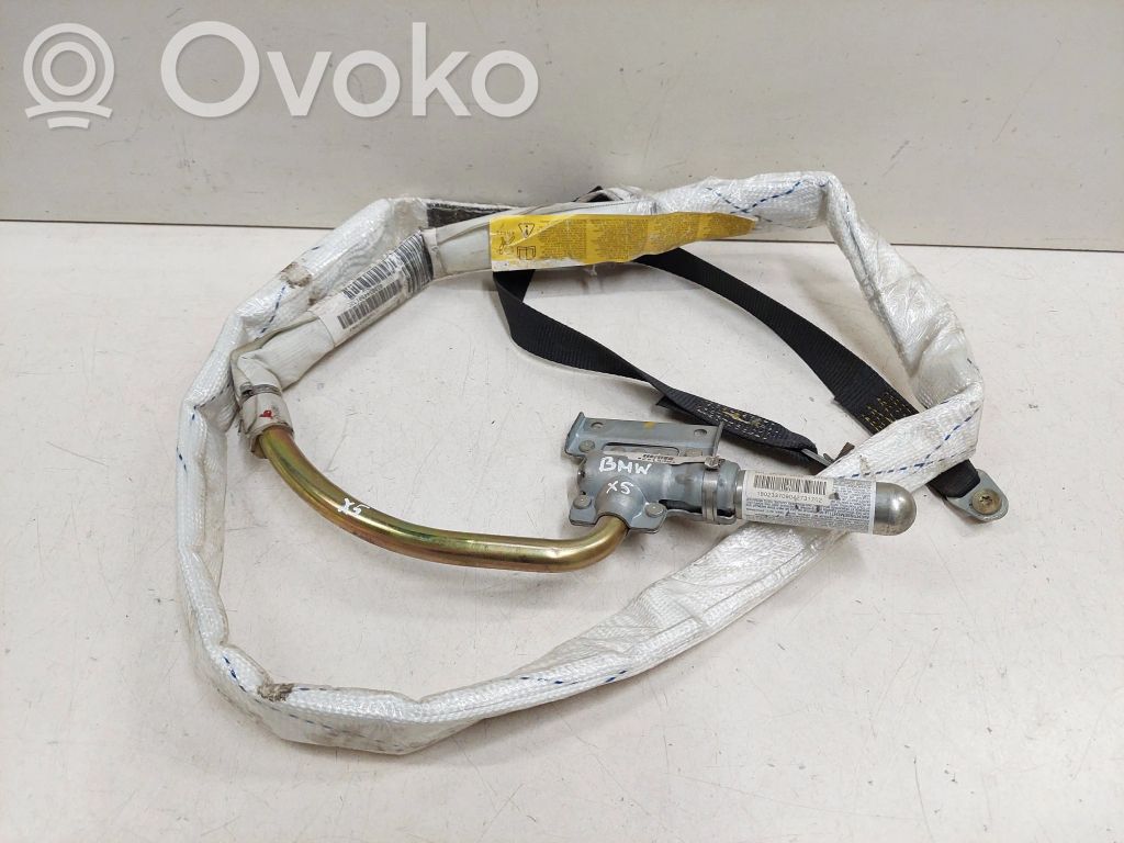 BMW X5 E53 Airbag del techo 