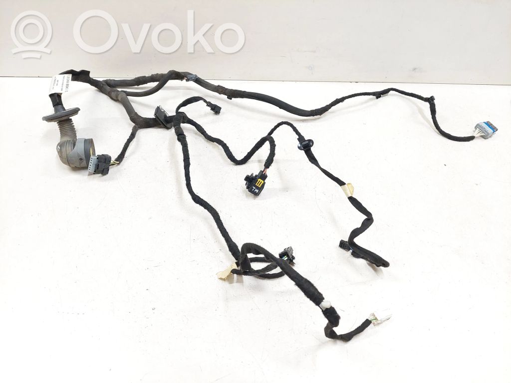 Citroen C5 Cableado de puerta delantera 