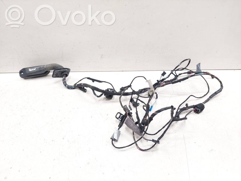 BMW X6 E71 Cableado de puerta delantera 