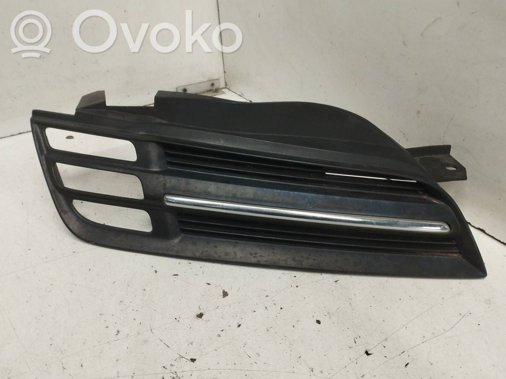 Front grill   62320