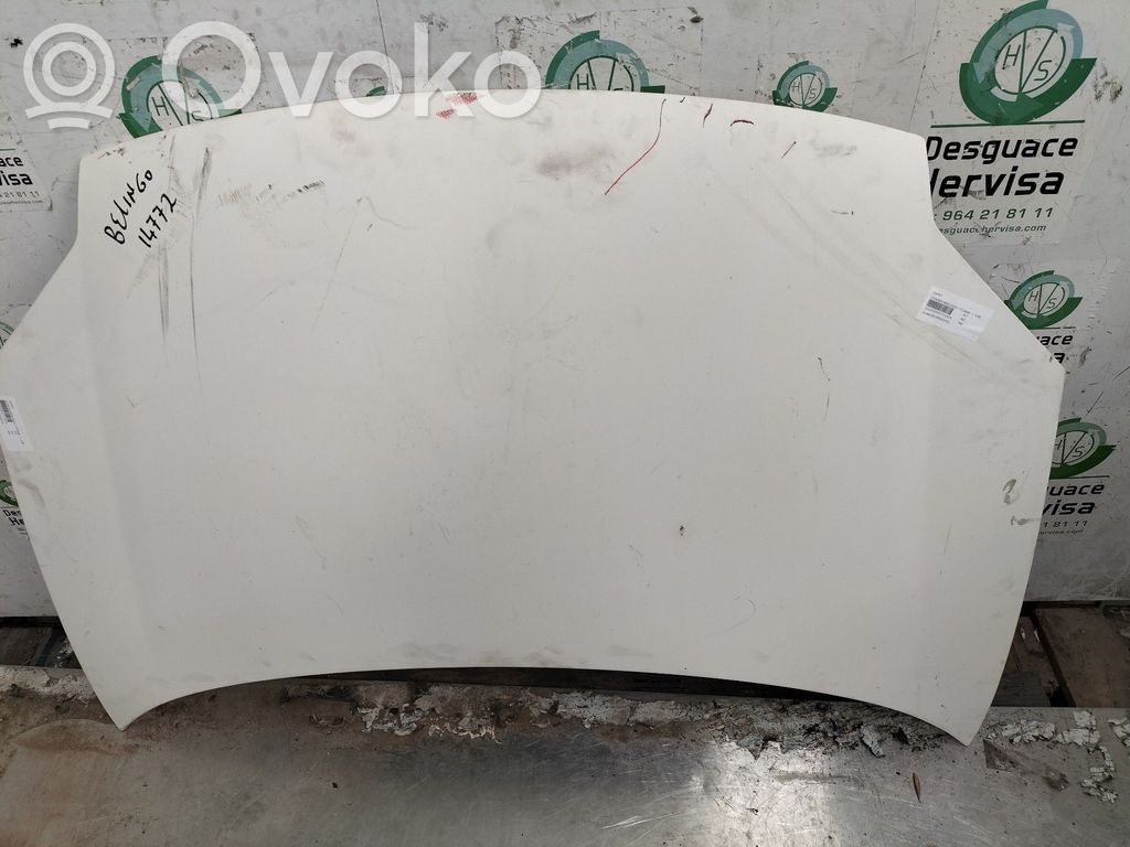 Engine bonnet/hood   FASE2