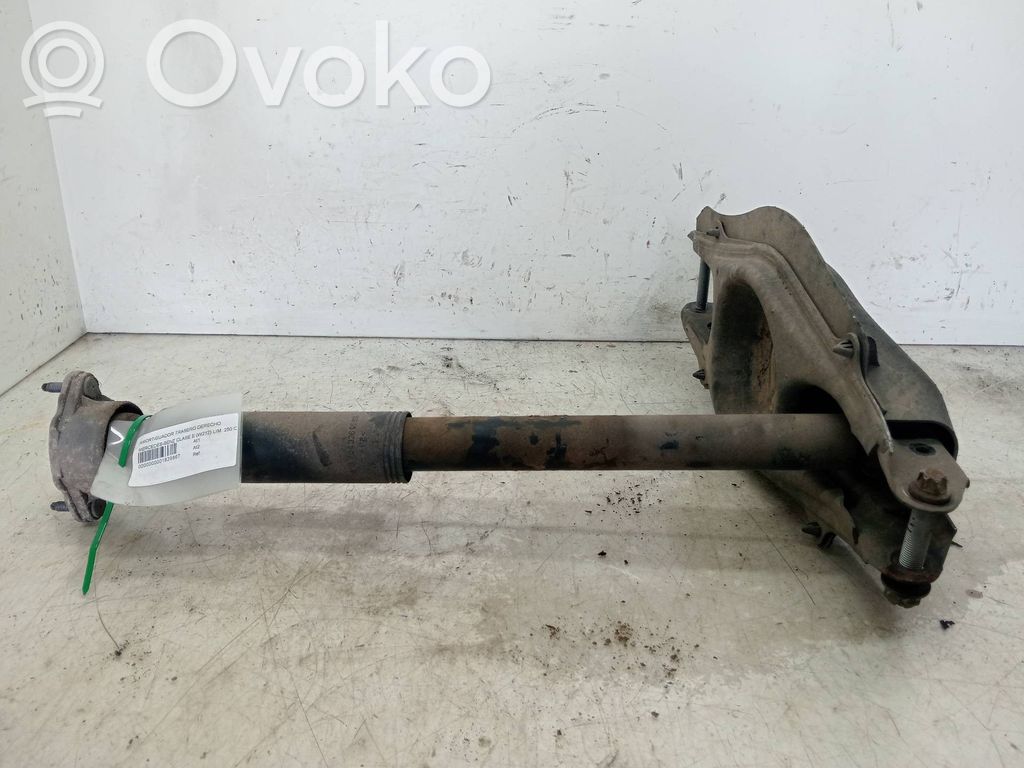 Stoßdämpfer hinten