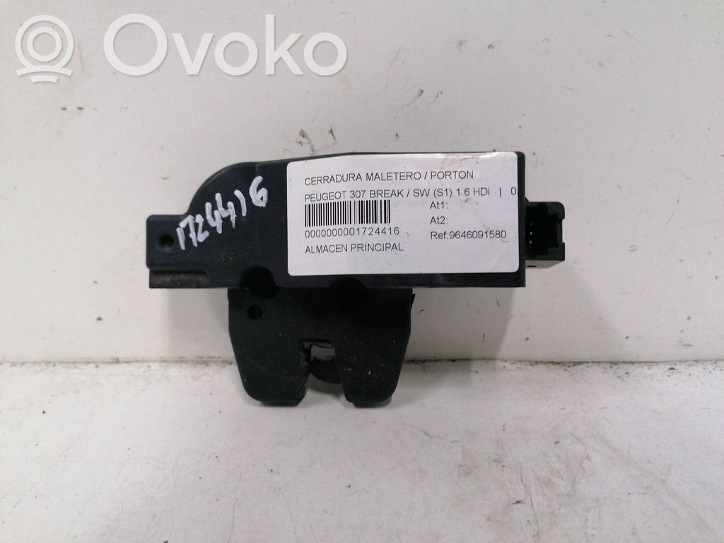 Peugeot 307 Blocco chiusura del portellone