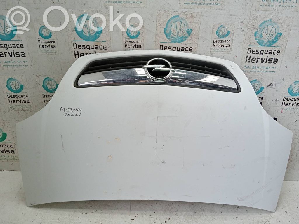 Motorhaube