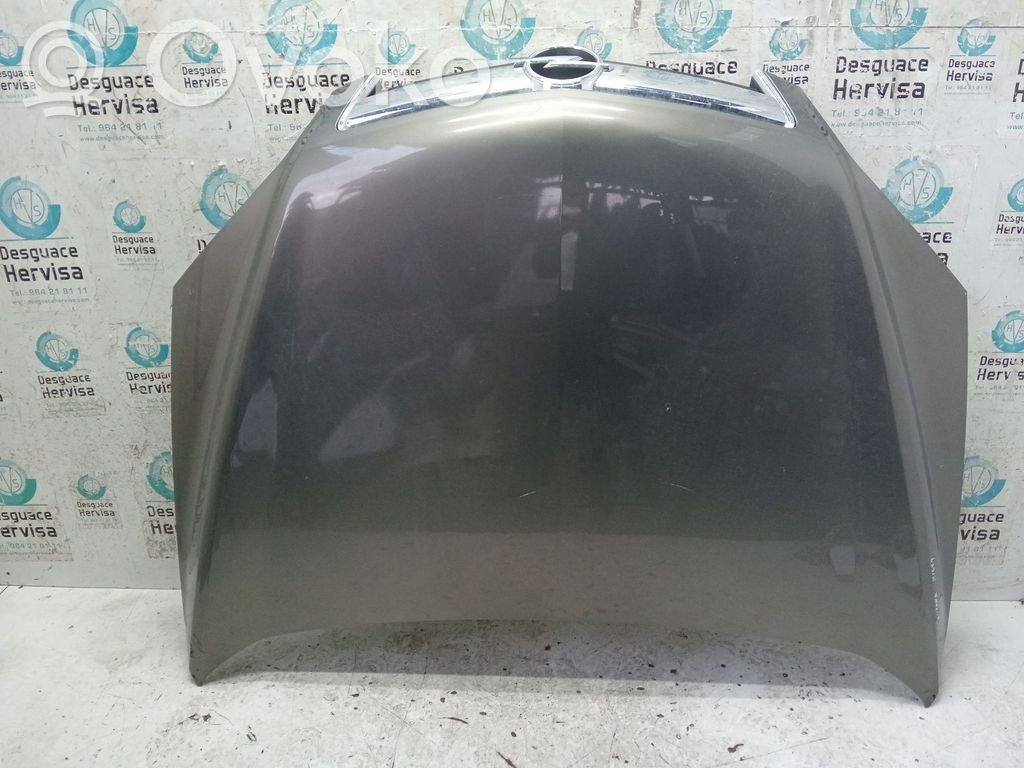 Motorhaube