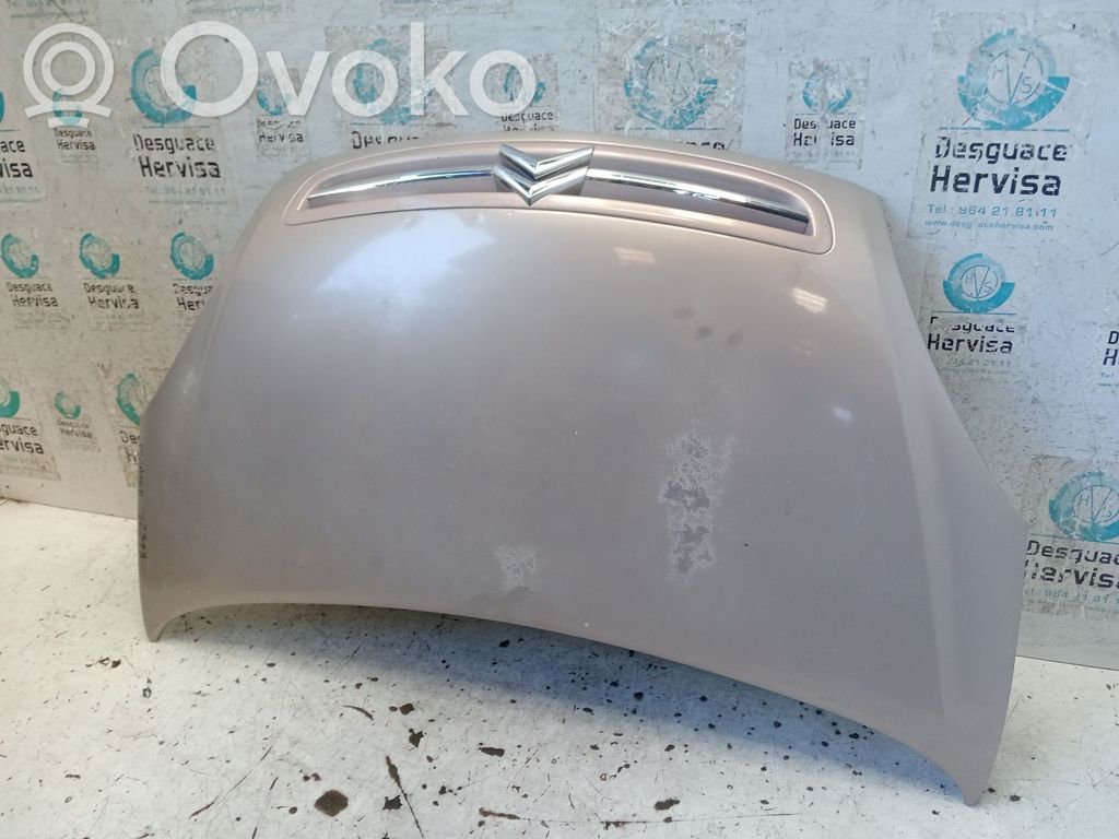 Dzinēja pārsegs (vāks)   FASE2