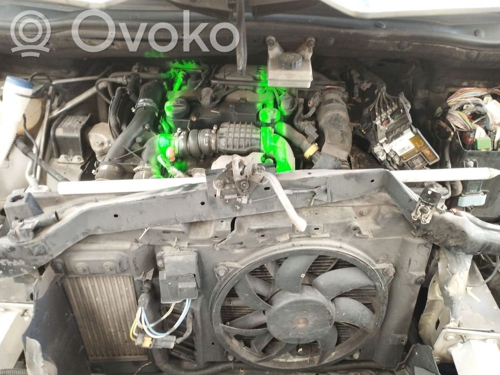 Citroen C4 Aircross Motor 