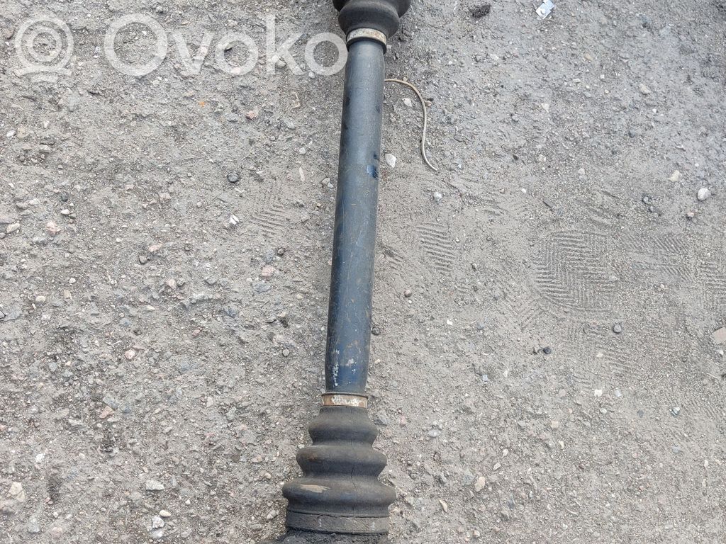 BMW 5 E39 Aizmugurējā pusass 