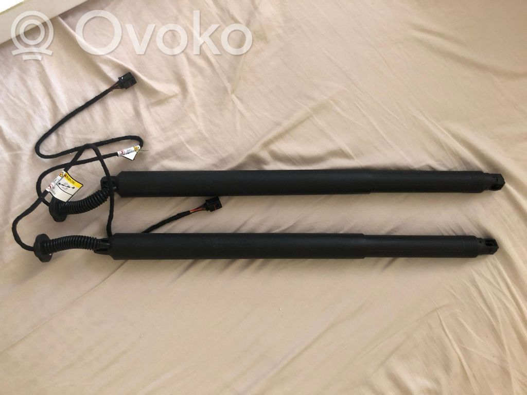 Tailgate/trunk strut/damper