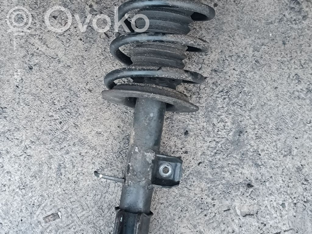 BMW X5 E53 Priekšpusē amortizators 