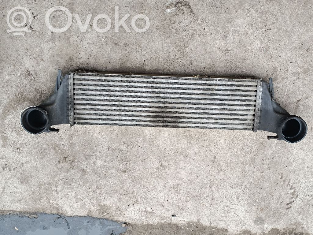 BMW X5 E53 Interkūlerio radiatorius 
