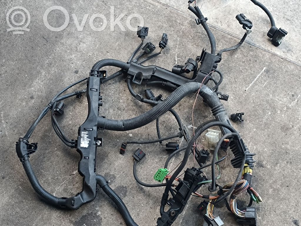 Engine installation wiring loom   738050605A,851187602,780823906