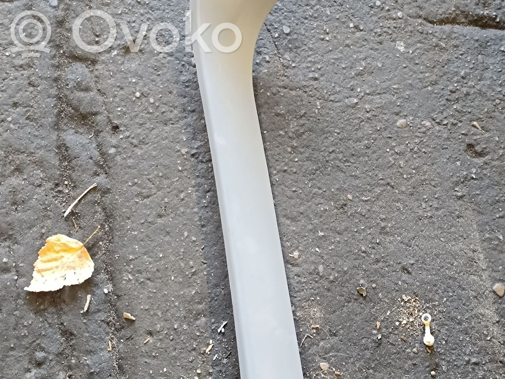 BMW X5 E53 Tailgate trim 