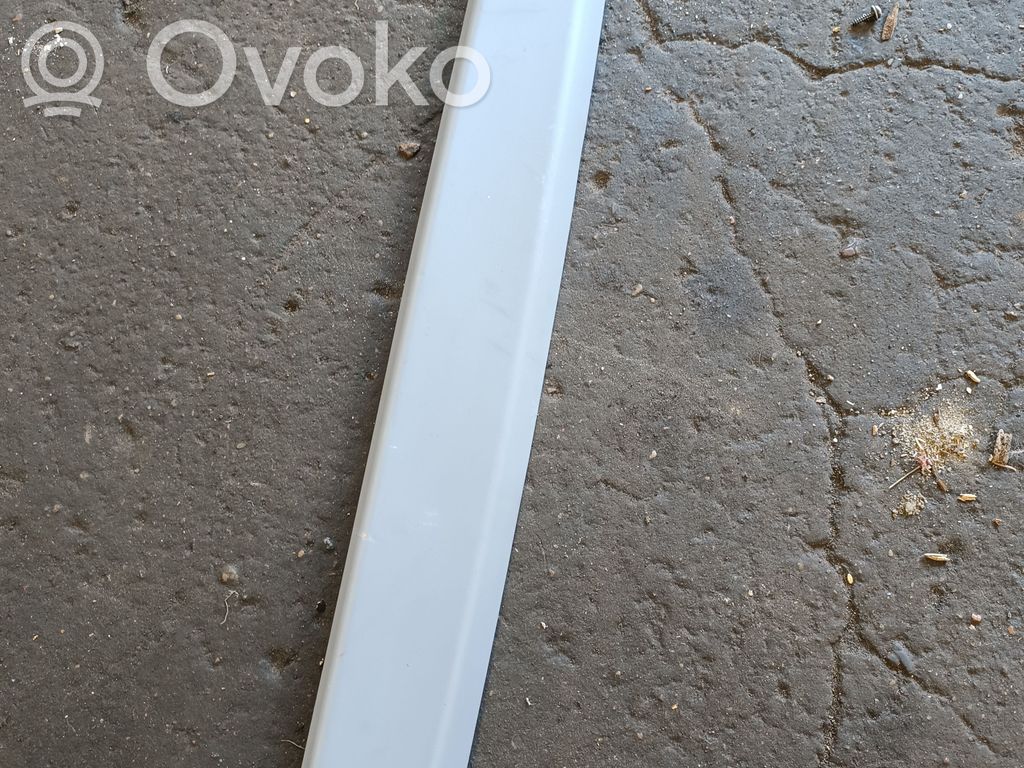 BMW X5 E53 Other trunk/boot trim element 