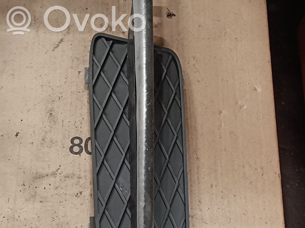 BMW X5 E70 Front bumper lower grill 