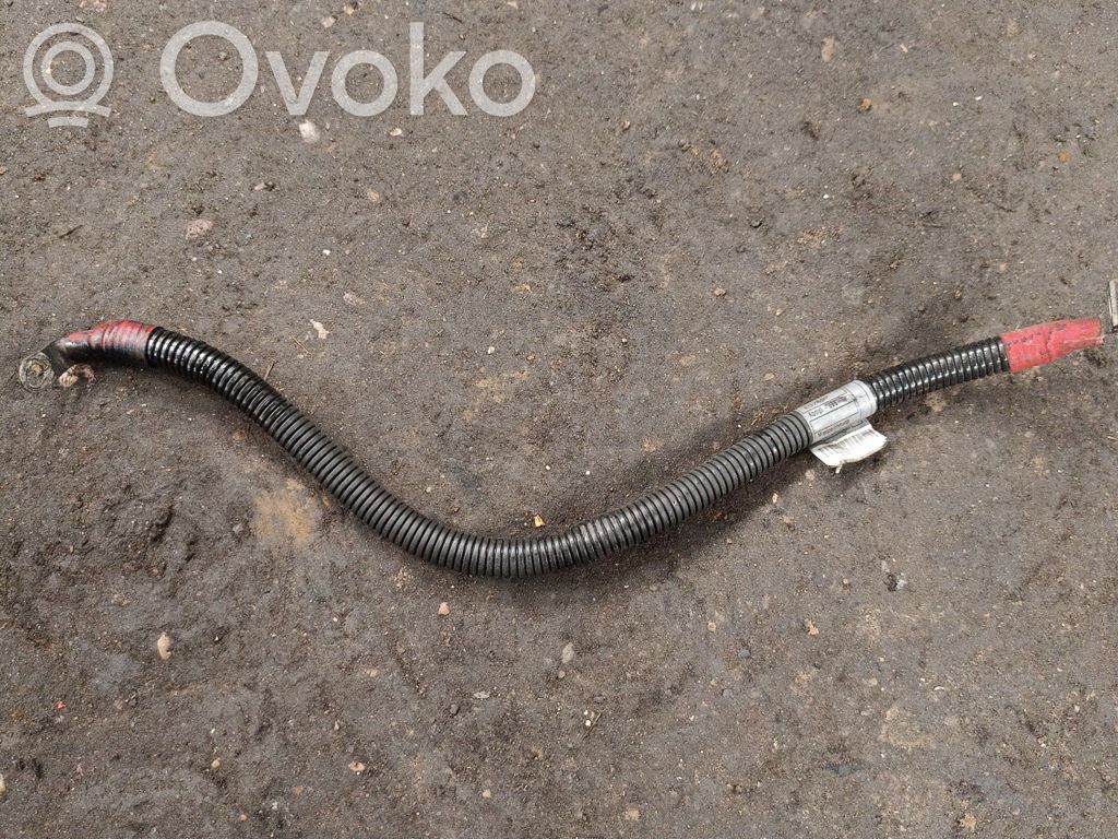 Câble de batterie positif   7789221