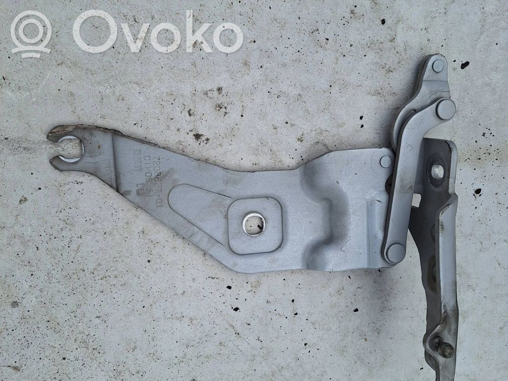BMW X5 E70 Engine bonnet/hood hinges 