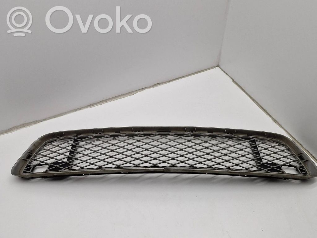BMW X5 E70 Front bumper lower grill 