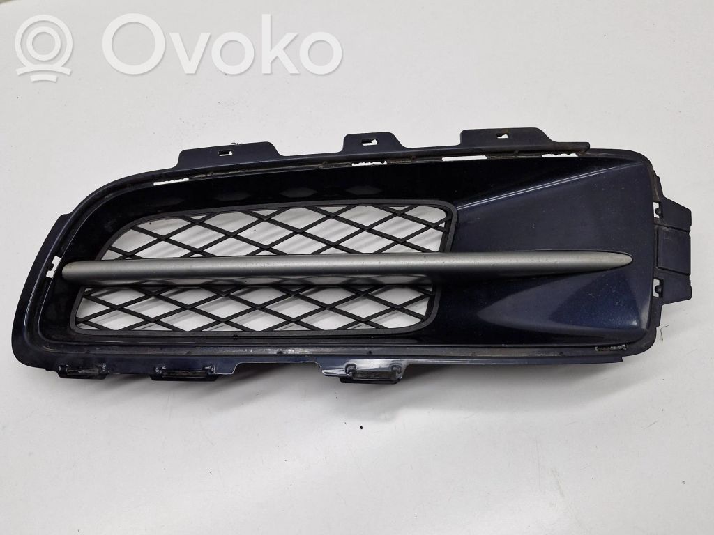 BMW X5 E70 Front bumper lower grill 